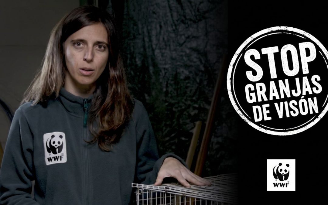 WWF – Cierre granjas de visón